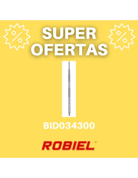 BID034300
